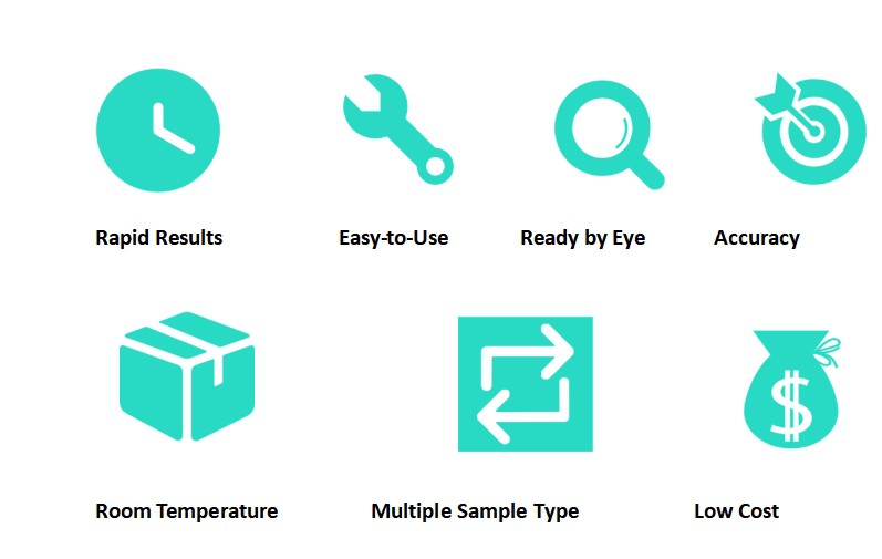 36020250617135728 36020250617135728